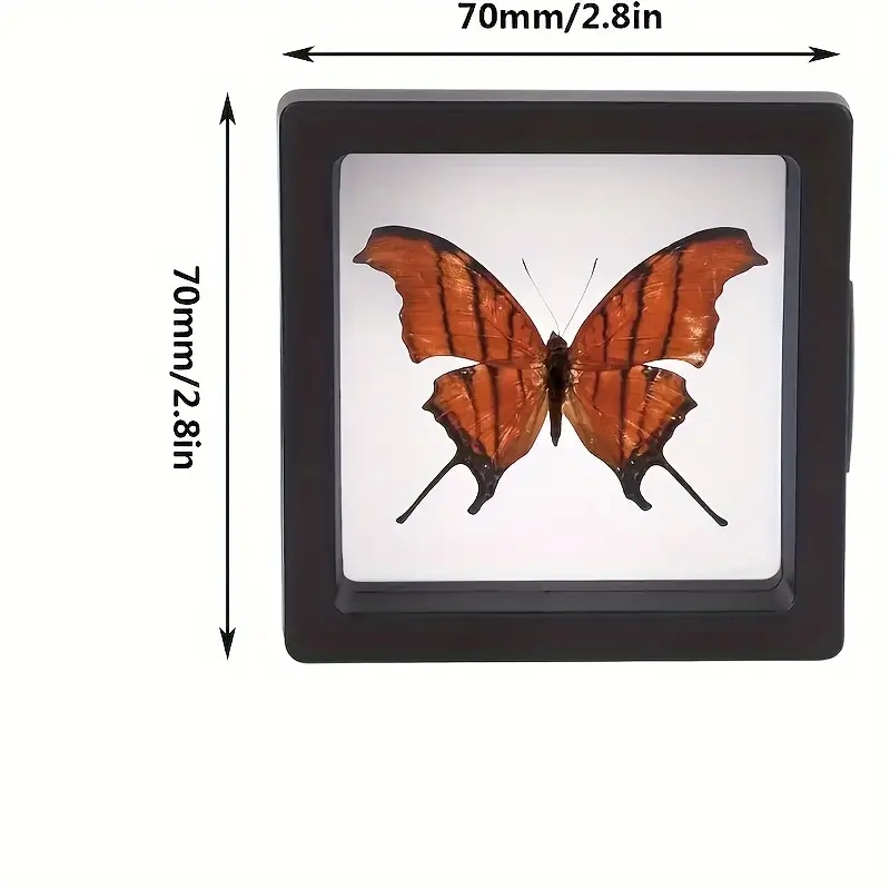 20 個クリアビュー 3D フローティングディスプレイケース - Display Case Acrylic のレビューと価格